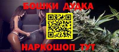 spice Сланцы