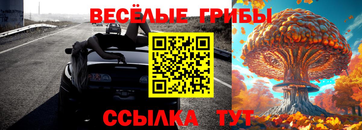 Галлюциногенные грибы мухоморы Псков