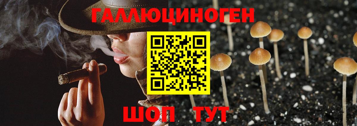 Псилоцибиновые грибы прущие грибы  Вход с VPN  Псков 
